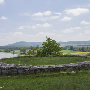 Zamek Dziewin