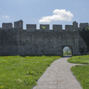 Zamek Dziewin