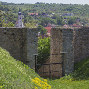 Zamek Dziewin