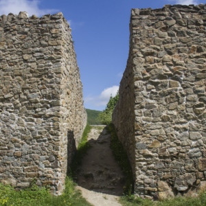 Zamek Dziewin