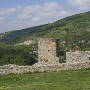 Zamek Dziewin