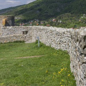 Zamek Dziewin