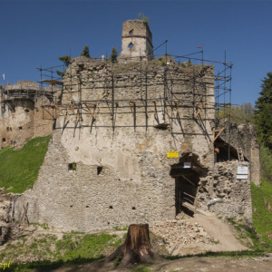 Zamek Zborów
