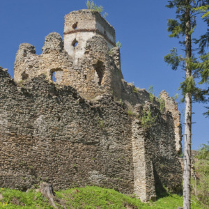 Zamek Zborów
