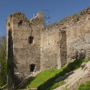 Zamek Zborów