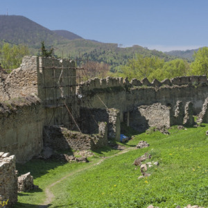 Zamek Zborów