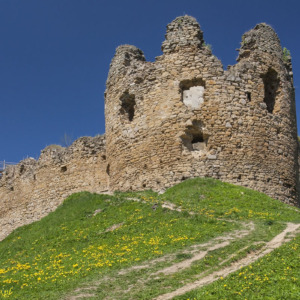 Zamek Zborów