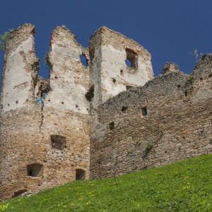 Zamek Zborów