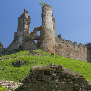Zamek Zborów