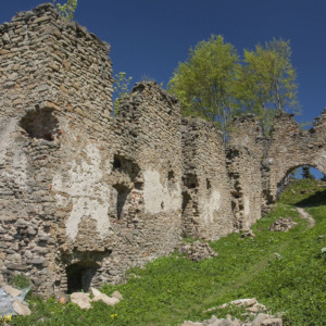 Zamek Zborów