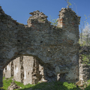 Zamek Zborów
