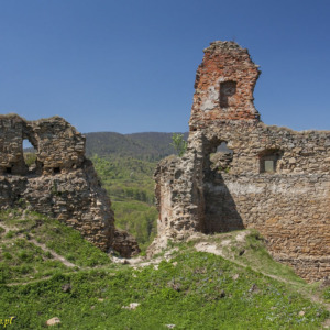 Zamek Zborów