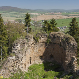 Zamek Zborów