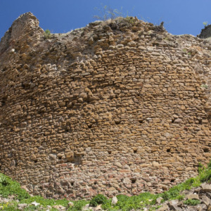 Zamek Zborów