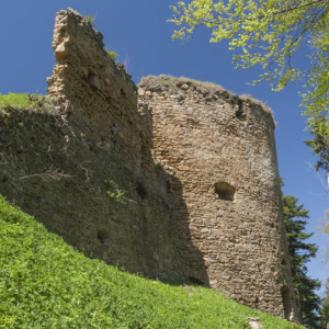 Zamek Zborów