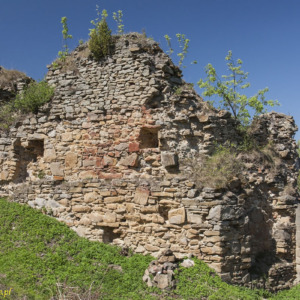 Zamek Zborów
