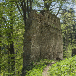 Zamek Zborów