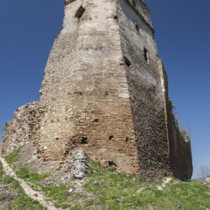 Zamek Zborów