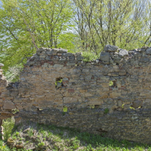 Zamek Zborów