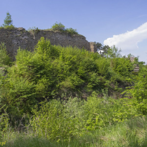 Zamek Cvilin