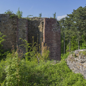 Zamek Cvilin
