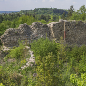 Zamek Cvilin