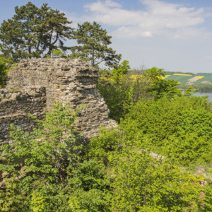 Zamek Cvilin