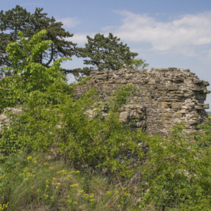 Zamek Cvilin