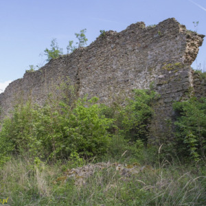 Zamek Cvilin