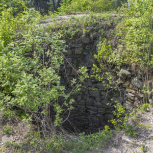Zamek Cvilin