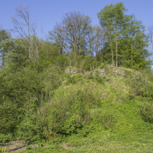 Zamek Vartnov