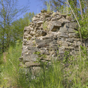 Zamek Vartnov