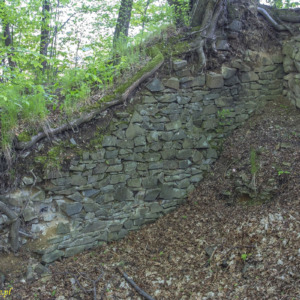 Zamek Vartnov