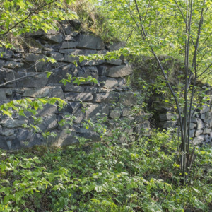 Zamek Vartnov