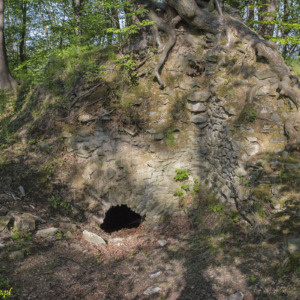 Zamek Vartnov