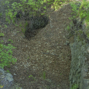 Zamek Vartnov