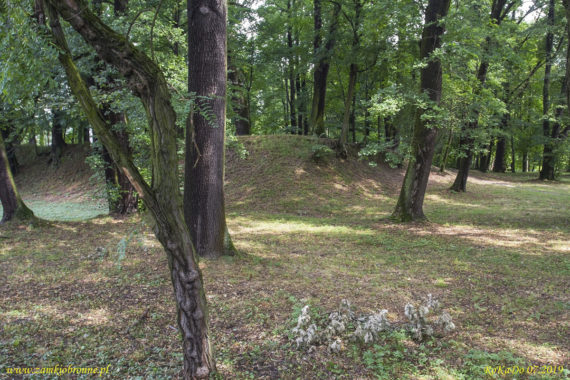 Dw&oacute;r obronny w Łodygowicach pozostałości ziemnych umocnień.