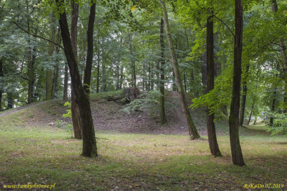 Dwór obronny w Łodygowicach pozostałości ziemnych umocnień.