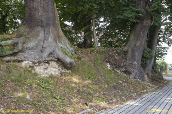 Dwór obronny w Łodygowicach pozostałości ziemnych umocnień.