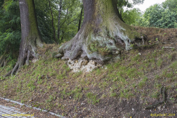 Dwór obronny w Łodygowicach pozostałości ziemnych umocnień.