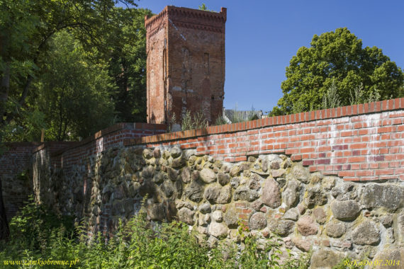 Zamek w Braniewie wieża bramna