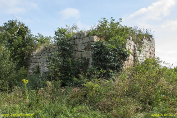 Rakowice Wielkie wieża książęca