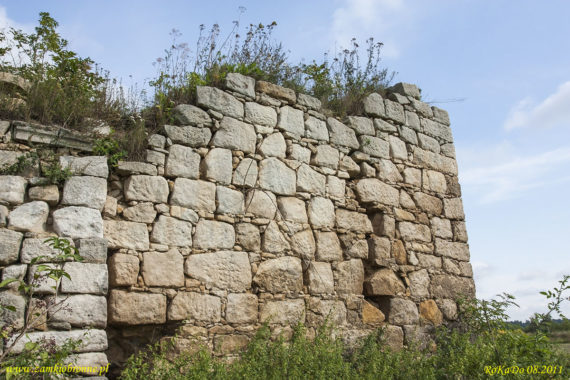 Rakowice Wielkie ruiny wieży rycerskiej