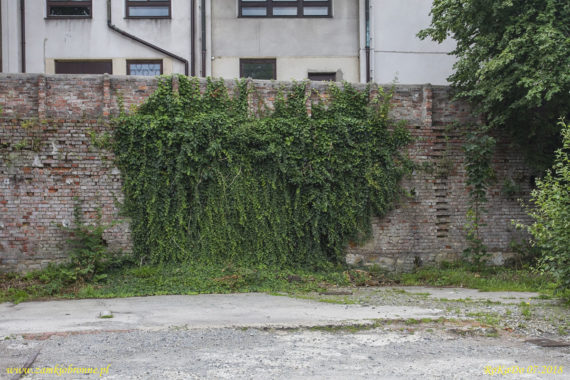 Miejskie mury obronne Cieszyna