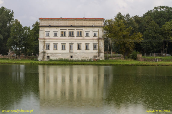 Zamek bastionowy w Czemiernikach