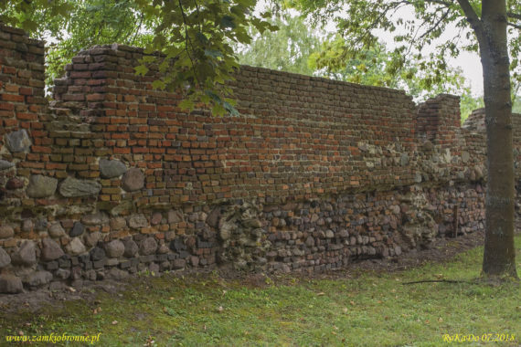 Zamek bastionowy w Czemiernikach