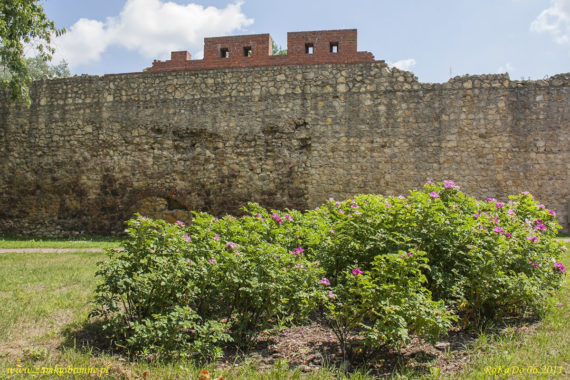 Miejskie mury obronne Wielunia