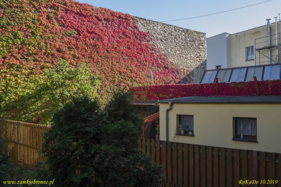 Miejskie mury obronne Strzelec Opolskich