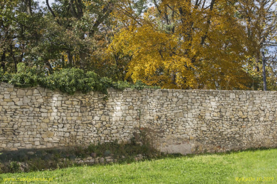 Miejskie mury obronne Strzelec Opolskich