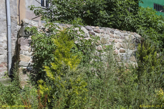 Miejskie mury obronne G&oacute;rowa Iławeckiego